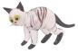 Preview: stehende Katze, (transp.-schwarz mit Streifen)
